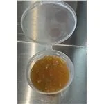 Mango Chutney 
